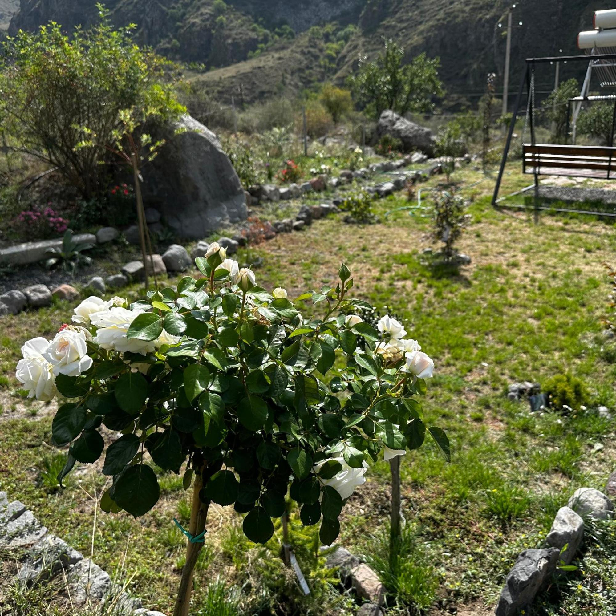 Vardzia Glamping Exterior photo